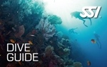 Dive Guide - Дайв гид