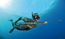 Курсы подводной охоты